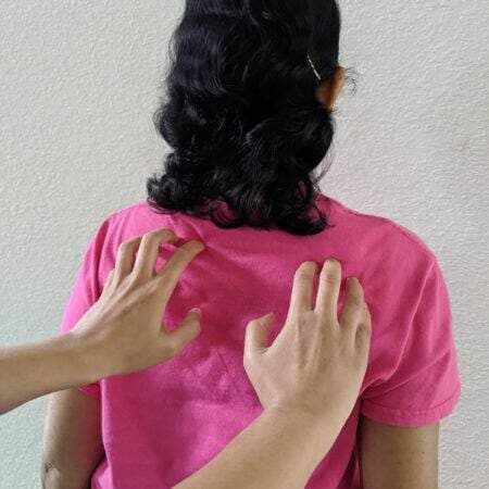 The Basic Scratch